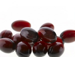 red whale krill oil