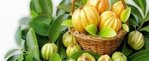 garcinia-cambogia-extract-for-weight-loss